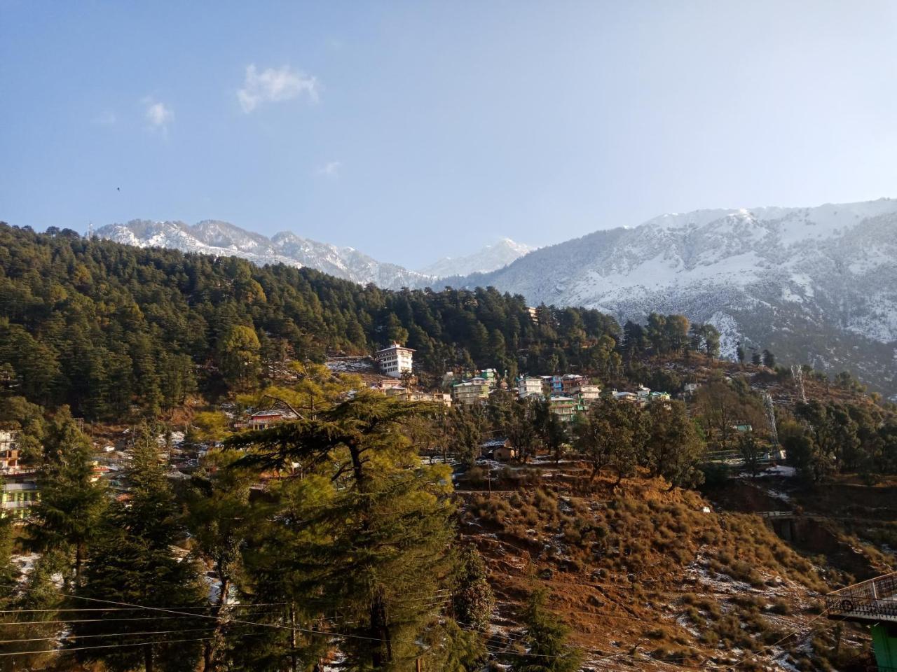 Hotel Pine Spring Dharamshala Eksteriør billede