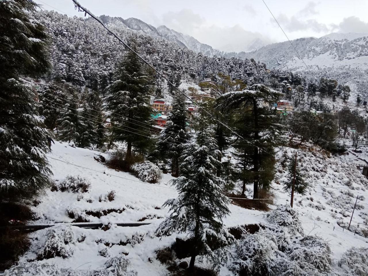 Hotel Pine Spring Dharamshala Eksteriør billede