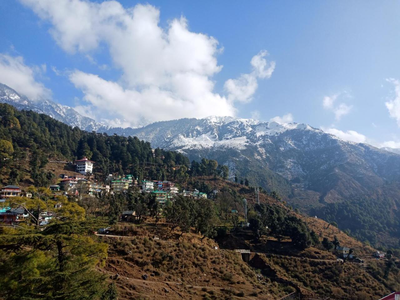 Hotel Pine Spring Dharamshala Eksteriør billede