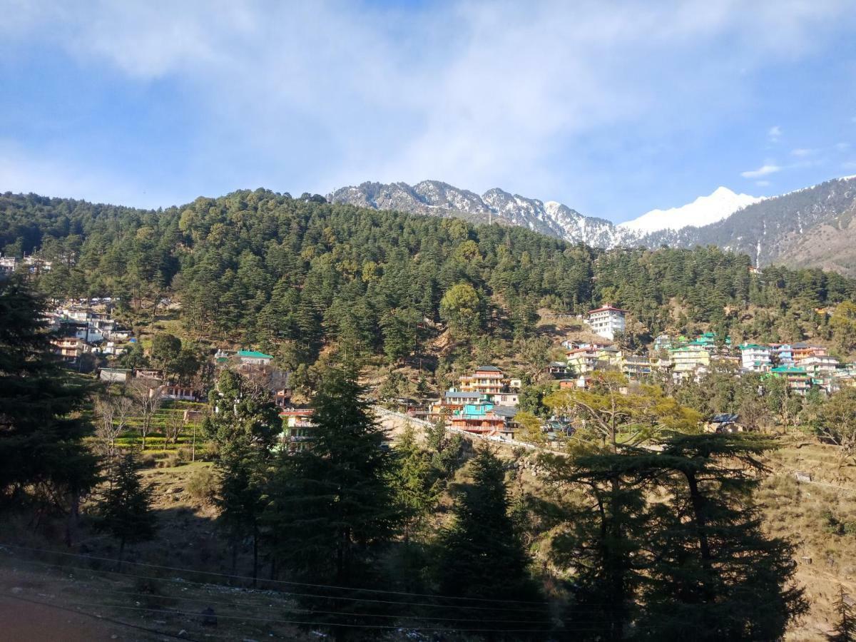 Hotel Pine Spring Dharamshala Eksteriør billede
