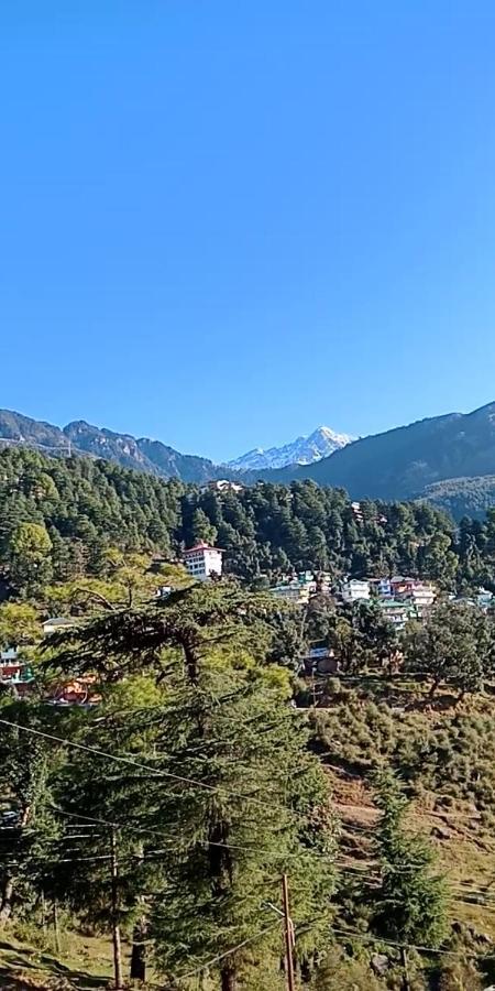 Hotel Pine Spring Dharamshala Eksteriør billede